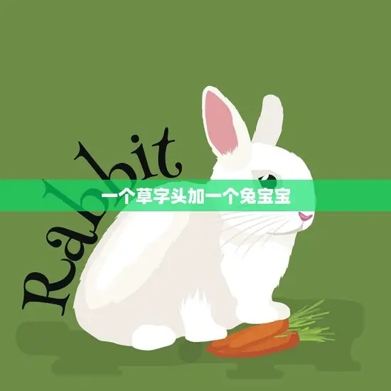 一个草字头加一个兔宝宝(探寻草原上的兔子世界)