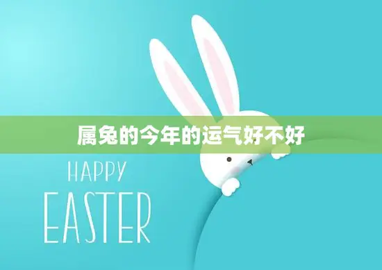 属兔的今年的运气好不好(2023年兔子运势大揭秘)