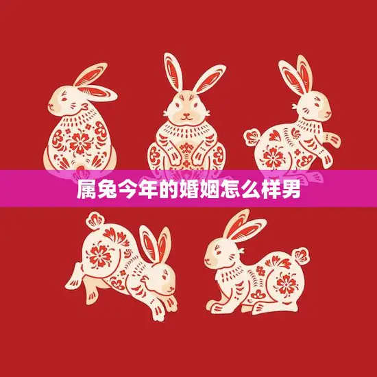 属兔今年的婚姻怎么样男(2023年婚姻运势解析)