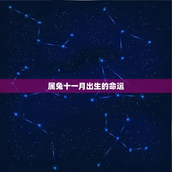 属兔十一月出生的命运(如何预测)