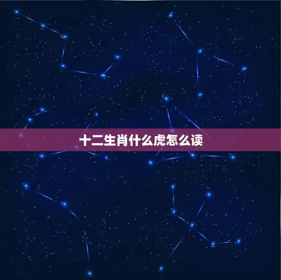 十二生肖什么虎怎么读(解密十二生肖中的老虎)