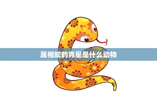 属相蛇的克星是什么动物(揭秘十二生肖中的宿敌)