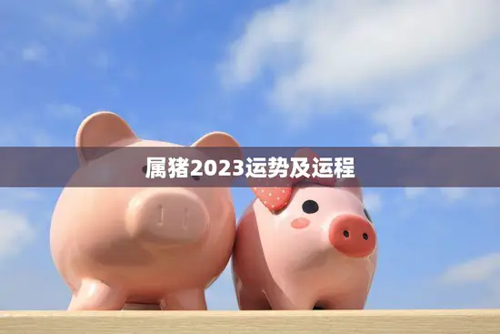 属猪2023运势及运程(猪年大展宏图财运亨通)