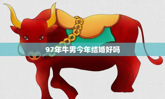 97年牛男今年结婚好吗(婚姻前景如何)