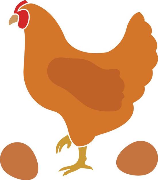 男属猪女属鸡婚姻相配吗(解析星座配对大揭秘)