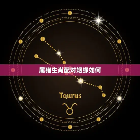 属猪生肖配对姻缘如何(介绍猪与其他生肖的姻缘)