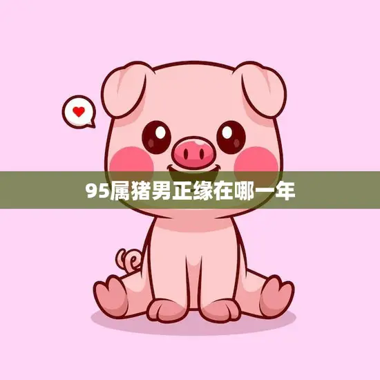 95属猪男正缘在哪一年(寻找真爱的最佳时机)