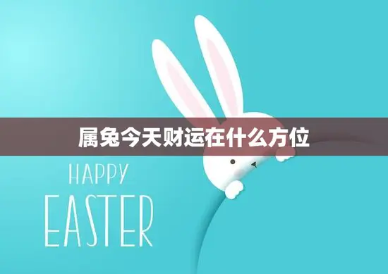 属兔今天财运在什么方位(财富方位揭秘)