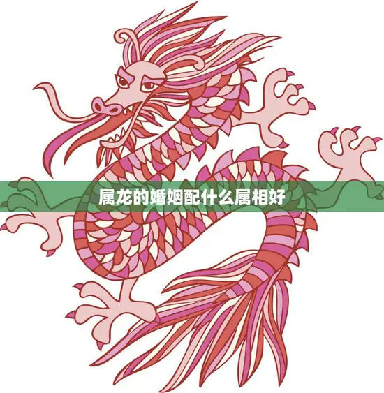 属龙的婚姻配什么属相好(如何选择最佳配偶)
