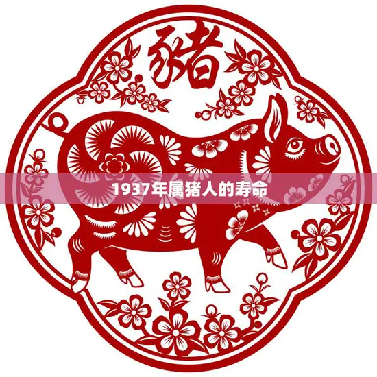 1937年属猪人的寿命(探究长寿还是)