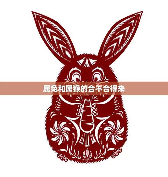 属兔和属猴的合不合得来(星座配对分析)