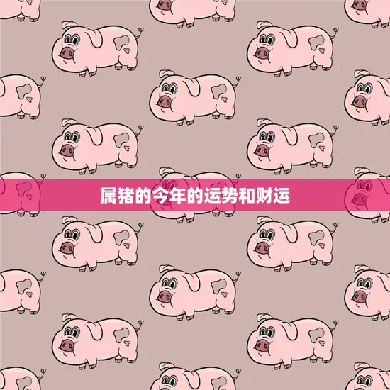 属猪的今年的运势和财运(2023年猪年运势大揭秘)