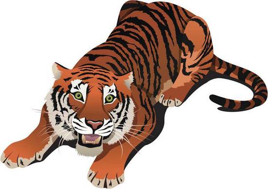 属虎人2023运势详解(未来三年属虎人的运势如何)