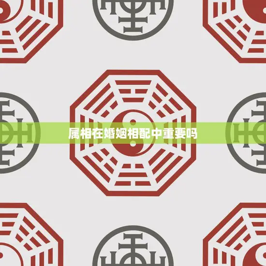 属相在婚姻相配中重要吗(解析属相对婚姻的影响)