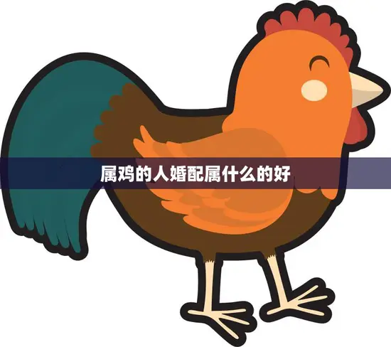属鸡的人婚配属什么的好(如何选择最佳婚配星座)