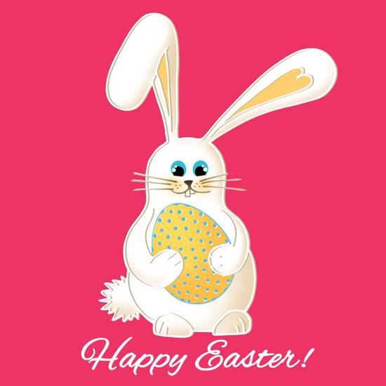 生肖兔的最上上等婚配1(如何选择最佳配偶)