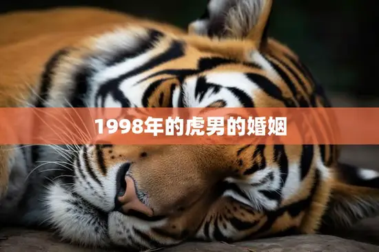 1998年的虎男的婚姻(一段跨越时空的爱情故事)