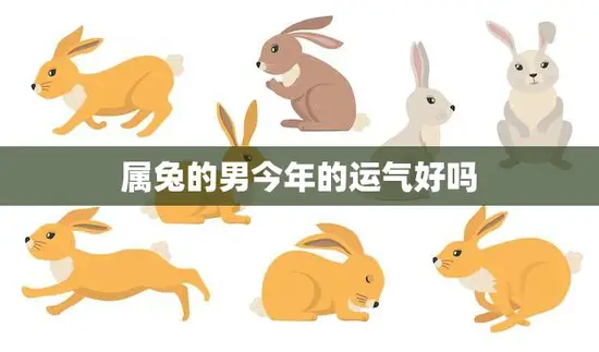 属兔的男今年的运气好吗(2023年属兔男的运势如何)