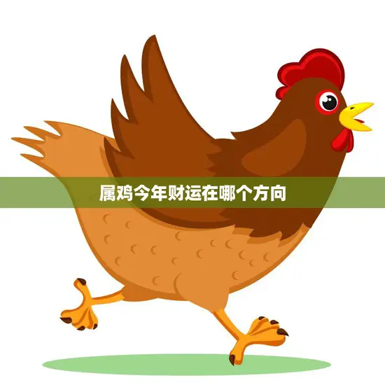 属鸡今年财运在哪个方向(如何把握2023年的财富机会)