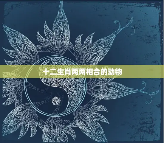 十二生肖两两相合的动物(神奇的生肖组合)