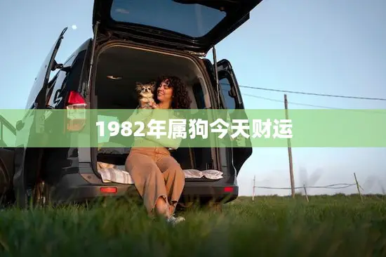 1982年属狗今天财运(财运亨通财源滚滚来)