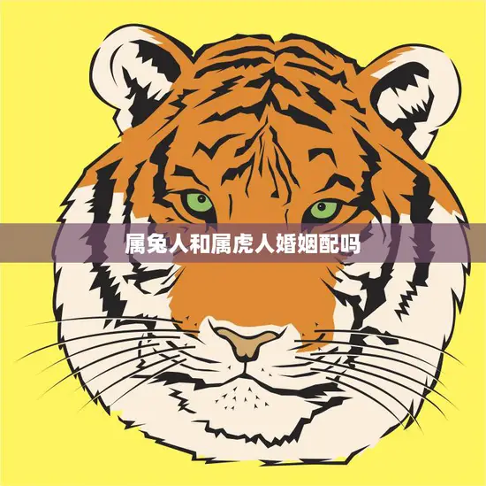 属兔人和属虎人婚姻配吗(如何解决生肖不合的问题)