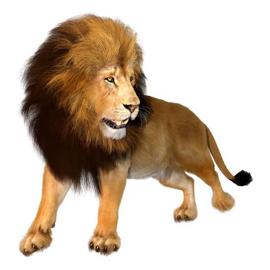 狮子座男2023年运势(事业上大展宏图)