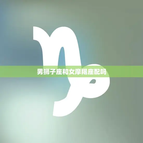 男狮子座和女摩羯座配吗(星座配对分析)