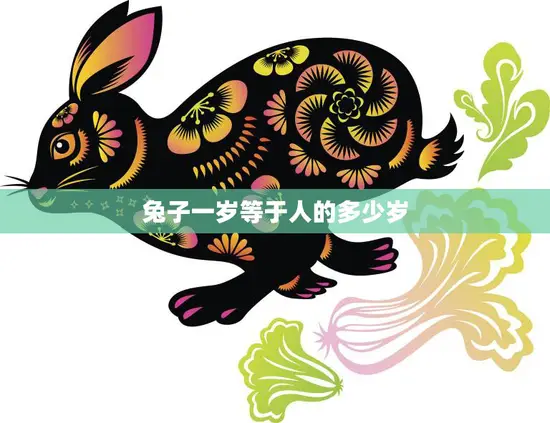 兔子一岁等于人的多少岁(兔子与人类的年龄对比)