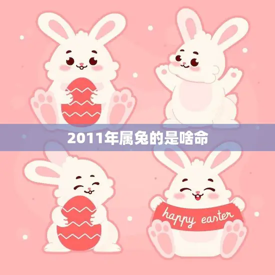 2011年属兔的是啥命(属兔人的命运如何)