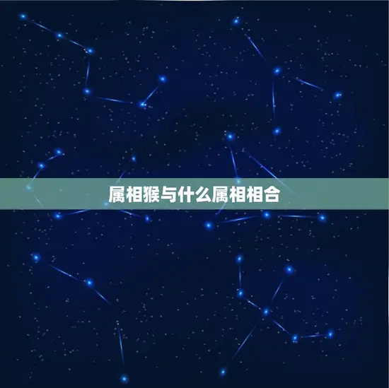 属相猴与什么属相相合(十二生肖配对大介绍)