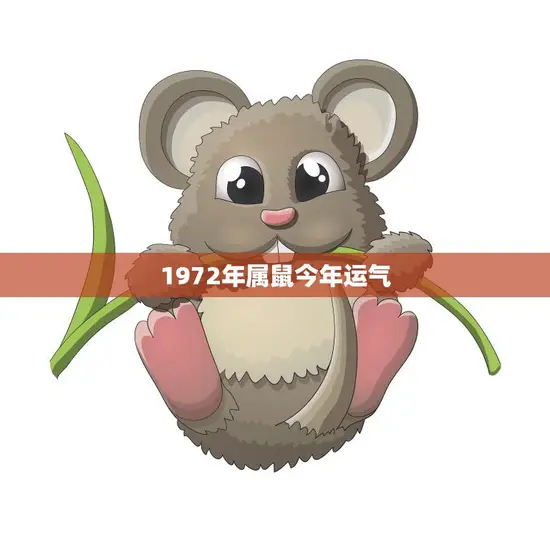1972年属鼠今年运气(如何)