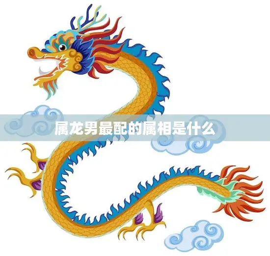 属龙男最配的属相是什么(揭秘十二生肖中最佳配对)