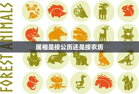 属相是按公历还是按农历(如何确定)