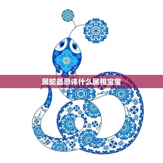 属蛇最忌讳什么属相宝宝(揭秘属蛇人的禁忌之选)