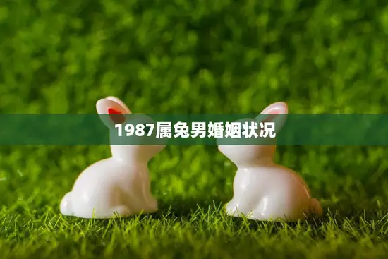 1987属兔男婚姻状况(婚姻稳定与否星座揭秘)