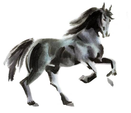 2023年属马的人几岁(马上迎来新年你几岁了)