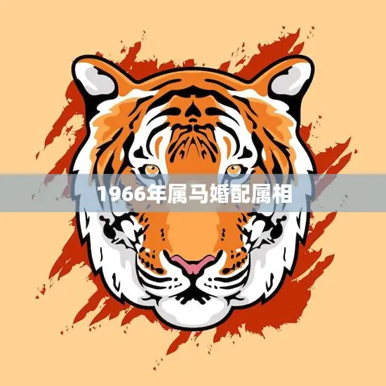 1966年属马婚配属相(马马虎虎的婚姻探究属马人的婚姻运势)