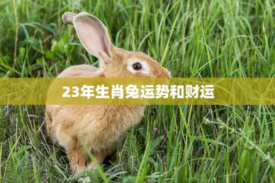 23年生肖兔运势和财运(如何迎接财富的到来)