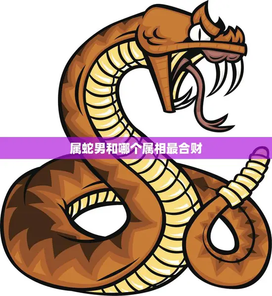 属蛇男和哪个属相最合财(财运最佳的搭档是谁)