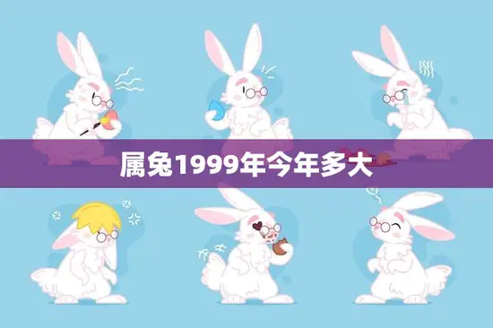 属兔1999年今年多大(如何计算属兔人的年龄)