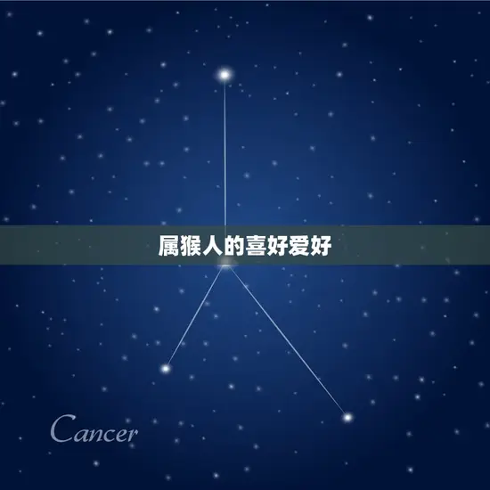 属猴的上等婚配是哪个(如何找到配偶)