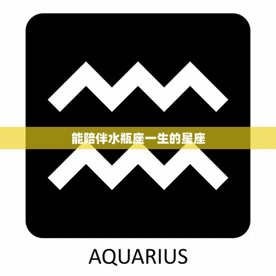 能陪伴水瓶座一生的星座(最佳搭档大揭秘)