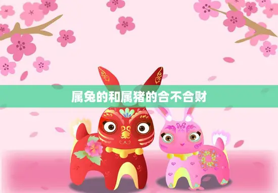 属兔的和属猪的合不合财(财运大揭秘)