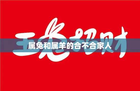 属兔和属羊的合不合家人(如何相处)