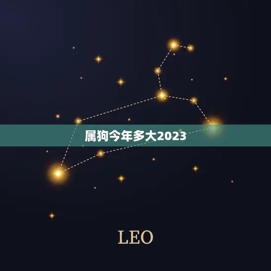 属狗今年多大2023(狗年出生的你2023年几岁)