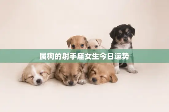 属狗的射手座女生今日运势(幸运星光照财运亨通事业高)