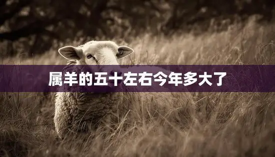 属羊的五十左右今年多大了(如何判断属羊人的年龄)