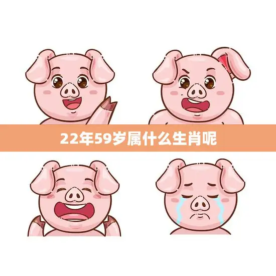 22年59岁属什么生肖呢(解密属猪人的2023运势)