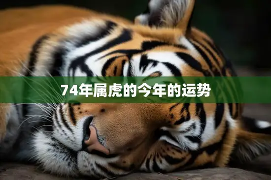 74年属虎的今年的运势(狮子座的幸运之年)